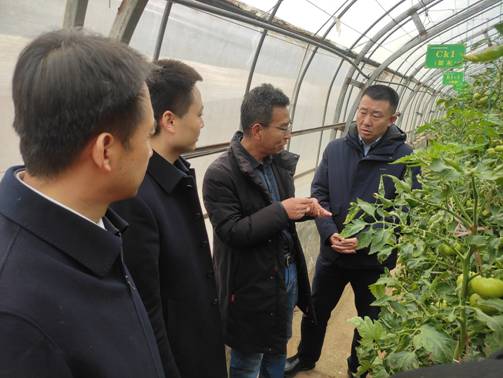 贾珉亮书记听取开元游戏官网设施蔬菜春季生产的情况汇报1.jpg