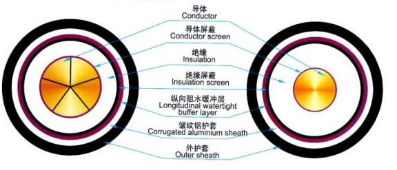本页围绕「天马体育登录